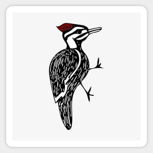 Pileated woodpecker Sticker